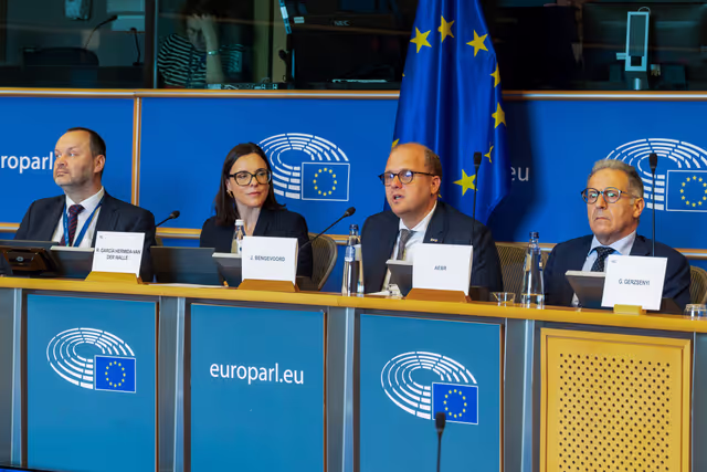 REGI -Exchange of views on the future of cross-border cooperation within the post-2027 Multiannual Financial Framework (MFF)