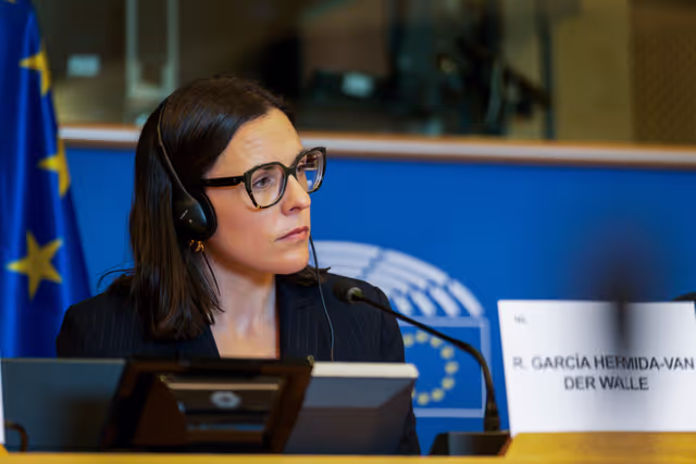 REGI -Exchange of views on the future of cross-border cooperation within the post-2027 Multiannual Financial Framework (MFF)