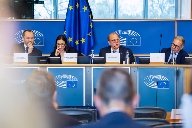 REGI -Exchange of views on the future of cross-border cooperation within the post-2027 Multiannual Financial Framework (MFF)