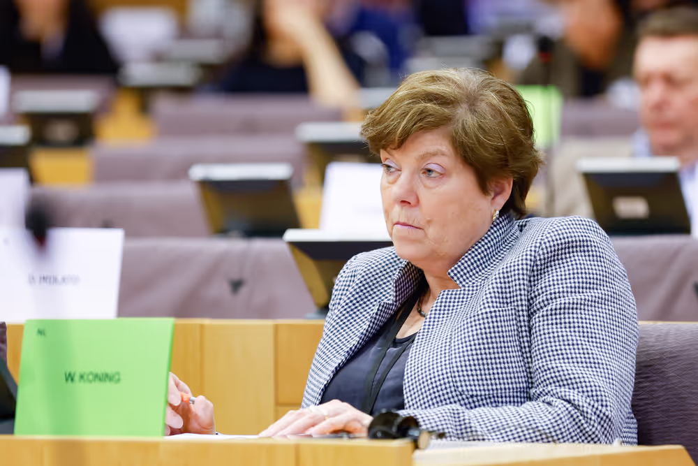 INTA - Public hearing ' Trade and investment relations with China: navigating risks and opportunities '