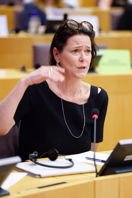 Foto 9: INTA - Public hearing ' Trade and investment relations with China: navigating risks and opportunities '