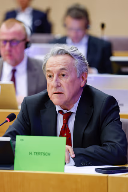 INTA - Public hearing ' Trade and investment relations with China: navigating risks and opportunities '