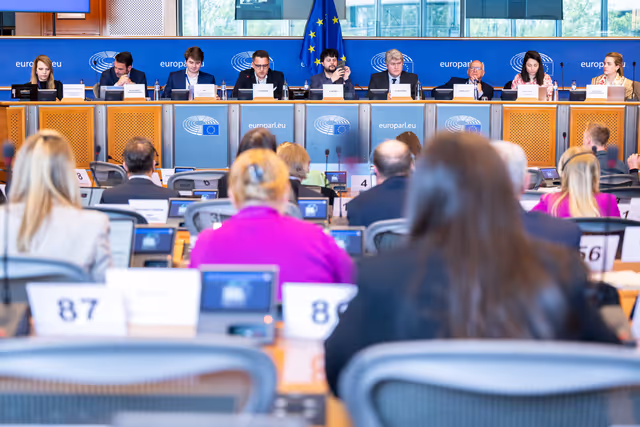 IMCO LIBE - The AI Act: State of Implementation of National Sandboxes and Real-World Testing - Dialogue with Members of national Parliaments