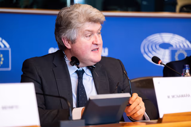 IMCO LIBE - The AI Act: State of Implementation of National Sandboxes and Real-World Testing - Dialogue with Members of national Parliaments