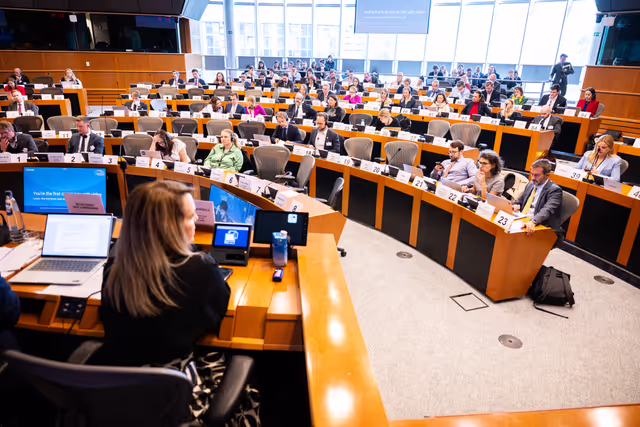 Foto 7: IMCO LIBE - The AI Act: State of Implementation of National Sandboxes and Real-World Testing - Dialogue with Members of national Parliaments