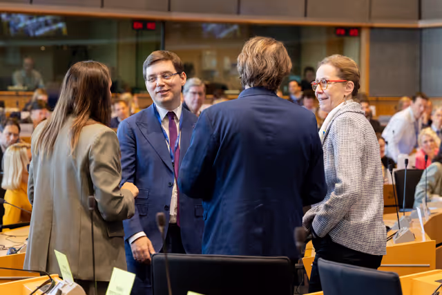 BUDG Committee - Interim report on the proposal for the multiannual financial framework for 2028-2034