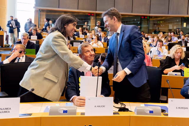 BUDG Committee - Interim report on the proposal for the multiannual financial framework for 2028-2034