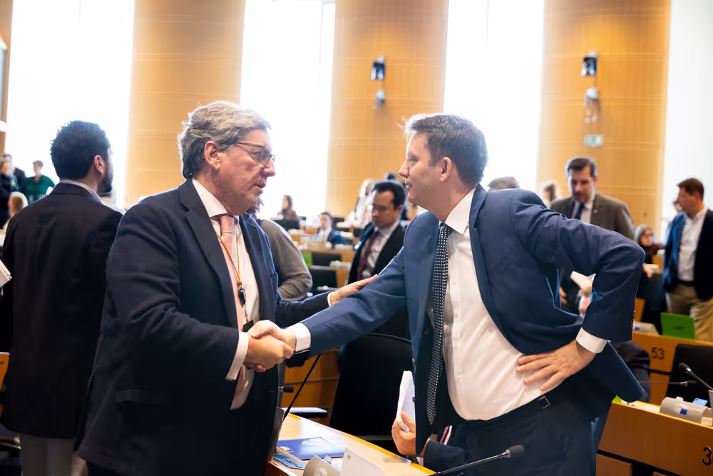 BUDG Committee - Interim report on the proposal for the multiannual financial framework for 2028-2034