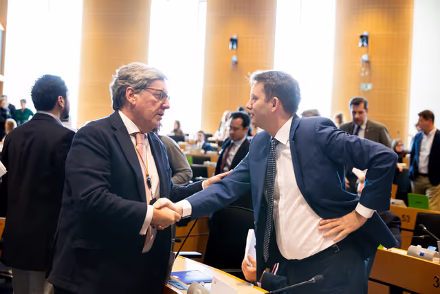 BUDG Committee - Interim report on the proposal for the multiannual financial framework for 2028-2034