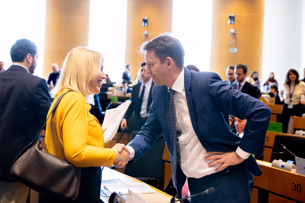 BUDG Committee - Interim report on the proposal for the multiannual financial framework for 2028-2034