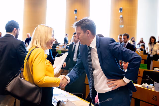 BUDG Committee - Interim report on the proposal for the multiannual financial framework for 2028-2034