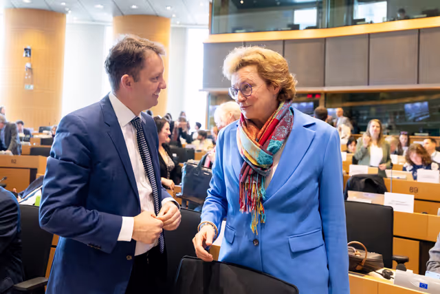 BUDG Committee - Interim report on the proposal for the multiannual financial framework for 2028-2034