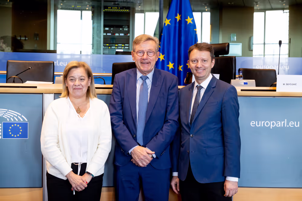 BUDG Committee - Interim report on the proposal for the multiannual financial framework for 2028-2034