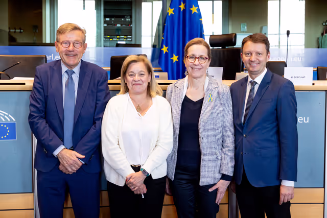 BUDG Committee - Interim report on the proposal for the multiannual financial framework for 2028-2034