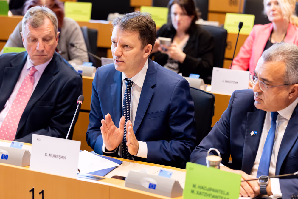 BUDG Committee - Interim report on the proposal for the multiannual financial framework for 2028-2034