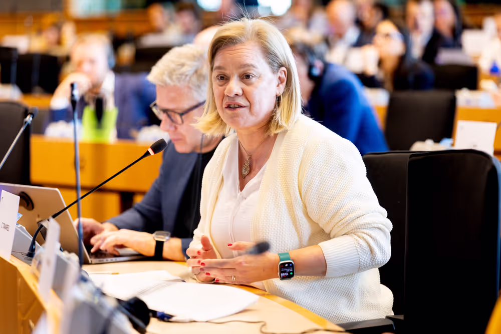 BUDG Committee - Interim report on the proposal for the multiannual financial framework for 2028-2034