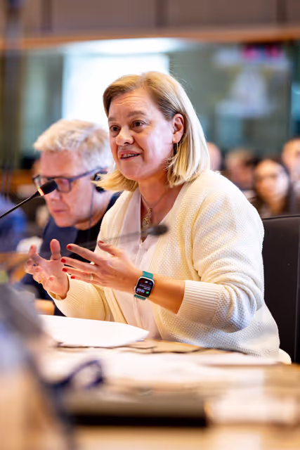 Fotagrafa 35: BUDG Committee - Interim report on the proposal for the multiannual financial framework for 2028-2034