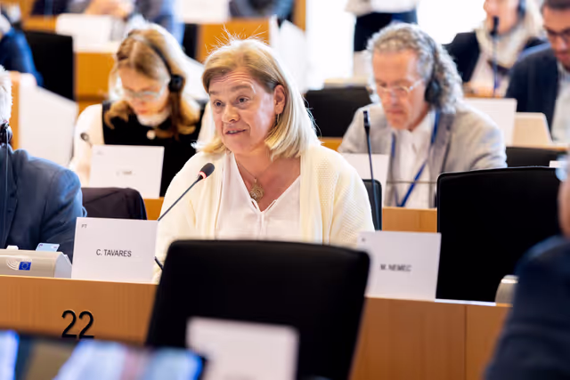 Fotagrafa 33: BUDG Committee - Interim report on the proposal for the multiannual financial framework for 2028-2034