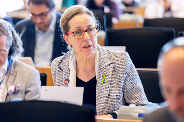 BUDG Committee - Interim report on the proposal for the multiannual financial framework for 2028-2034