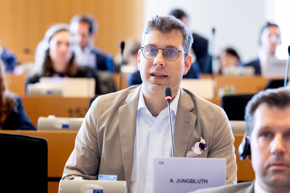 BUDG Committee - Interim report on the proposal for the multiannual financial framework for 2028-2034