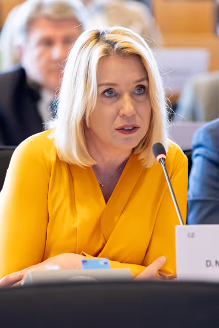 Fotagrafa 19: BUDG Committee - Interim report on the proposal for the multiannual financial framework for 2028-2034