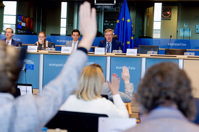 Fotagrafa 13: BUDG Committee - Interim report on the proposal for the multiannual financial framework for 2028-2034