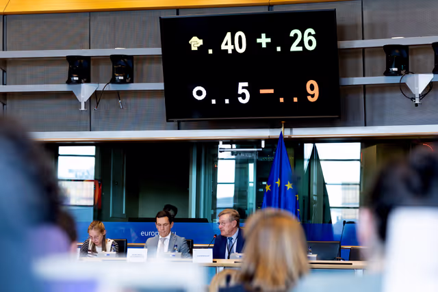 Fotagrafa 9: BUDG Committee - Interim report on the proposal for the multiannual financial framework for 2028-2034