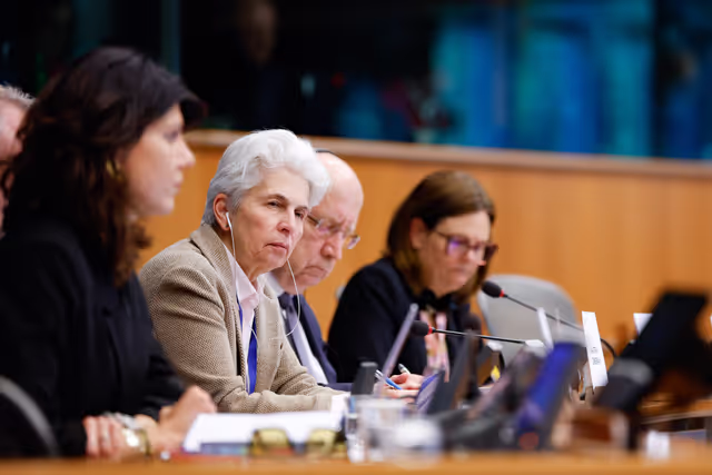 SEDE - Structured Dialogue with Andrius KUBILIUS, European Commissioner for Defence and Space