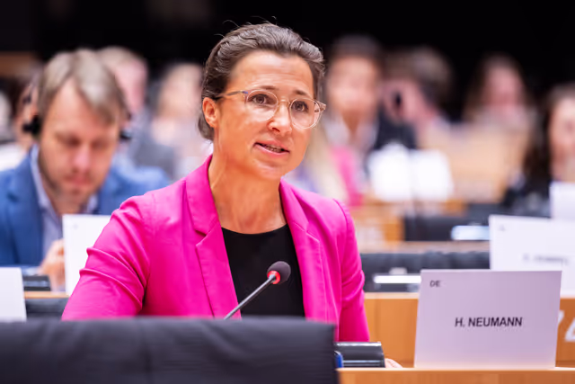 Foto 25: AFET - Exchange of views with people advocating for a free Iran