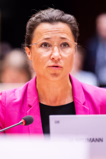 Foto 26: AFET - Exchange of views with people advocating for a free Iran