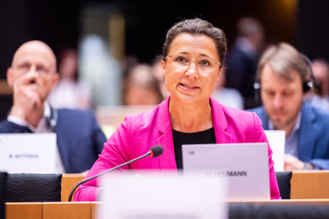 Foto 24: AFET - Exchange of views with people advocating for a free Iran