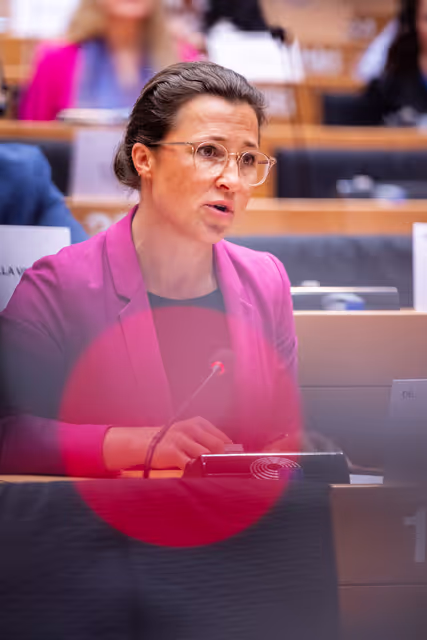 Foto 27: AFET - Exchange of views with people advocating for a free Iran