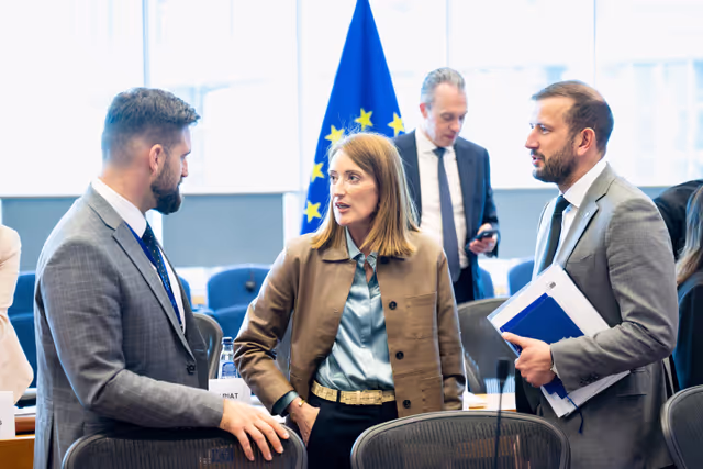 EP delegation to the Conciliation Committee meeting