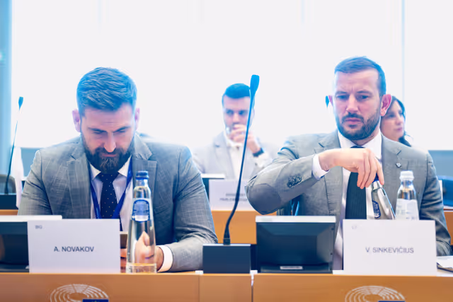 EP delegation to the Conciliation Committee meeting