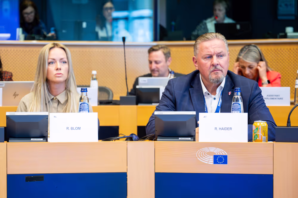 EP delegation to the Conciliation Committee meeting