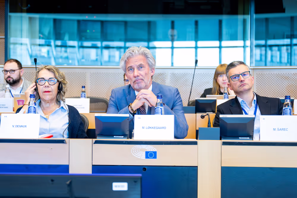 EP delegation to the Conciliation Committee meeting