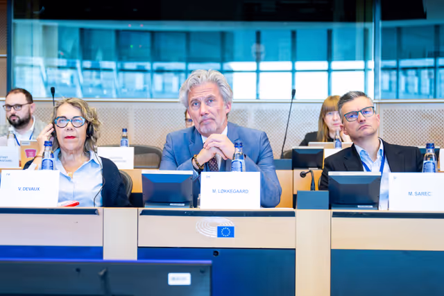 Fotografi 16: EP delegation to the Conciliation Committee meeting
