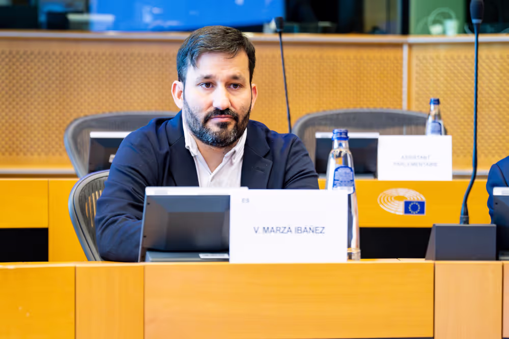 EP delegation to the Conciliation Committee meeting