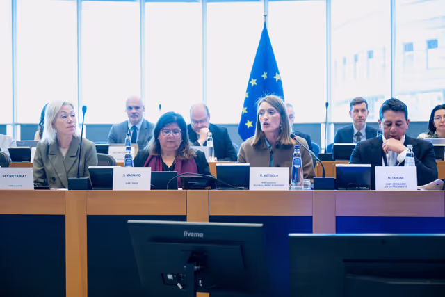 EP delegation to the Conciliation Committee meeting