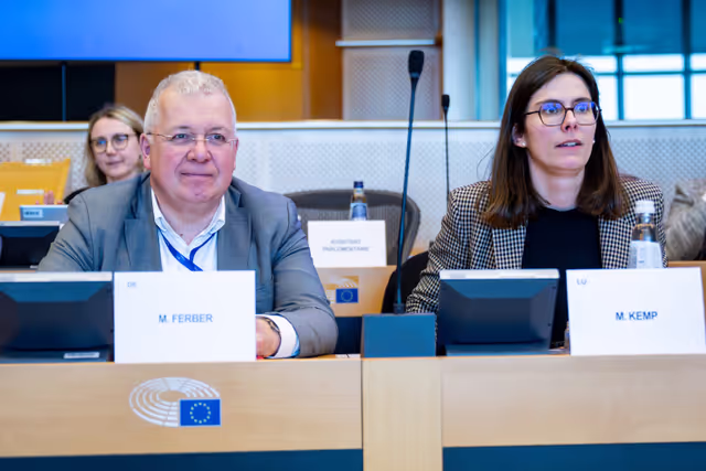 EP delegation to the Conciliation Committee meeting