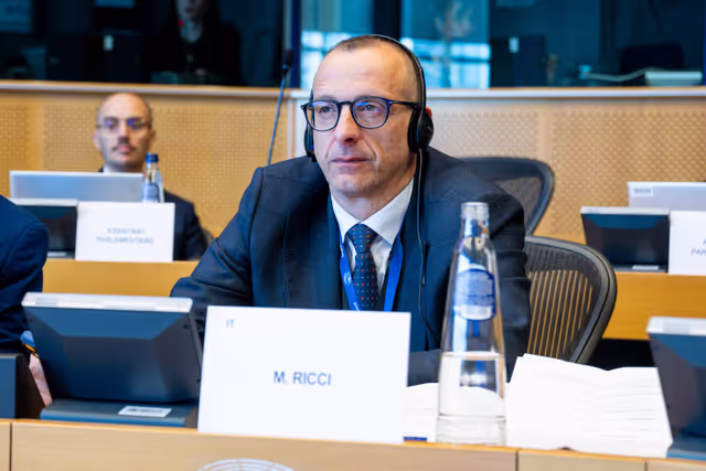 EP delegation to the Conciliation Committee meeting