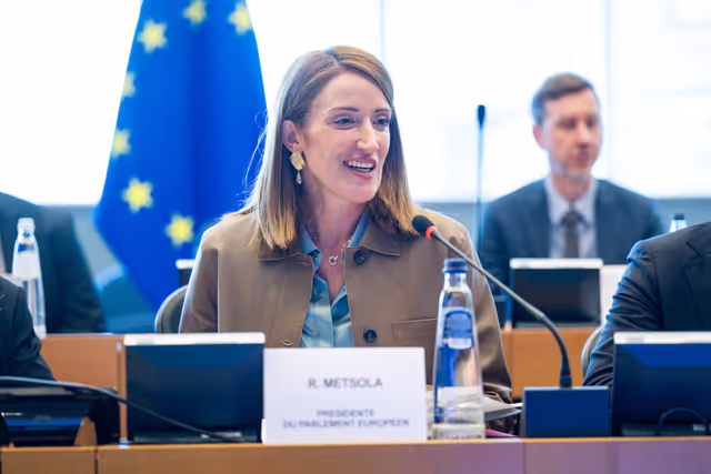 Fotografi 20: EP delegation to the Conciliation Committee meeting