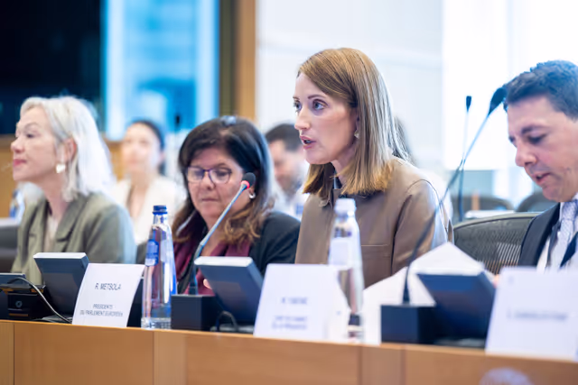 Fotografi 15: EP delegation to the Conciliation Committee meeting