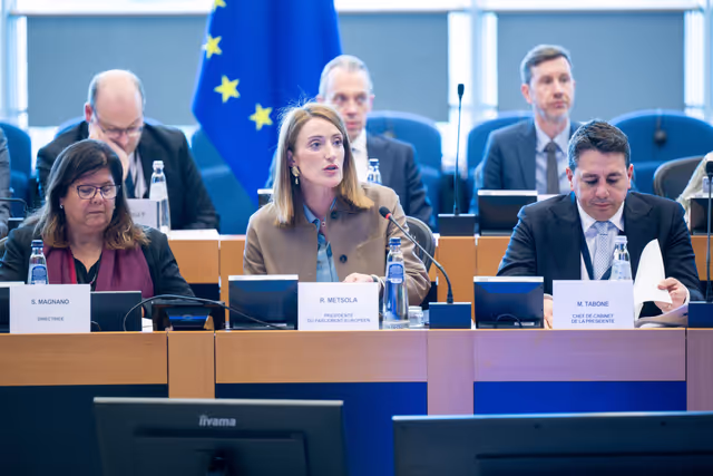 EP delegation to the Conciliation Committee meeting