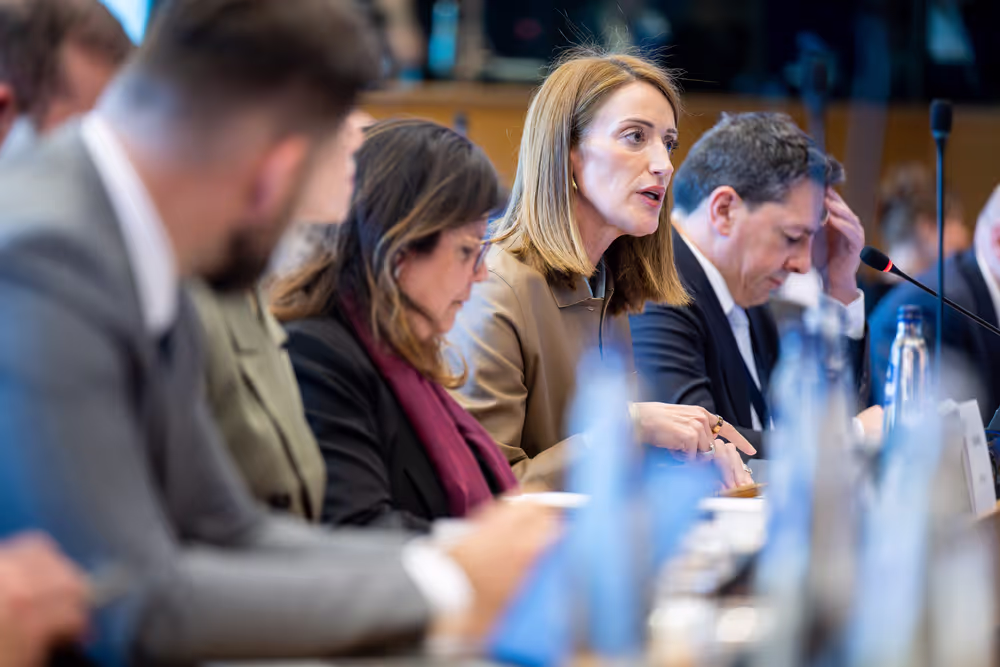 EP delegation to the Conciliation Committee meeting