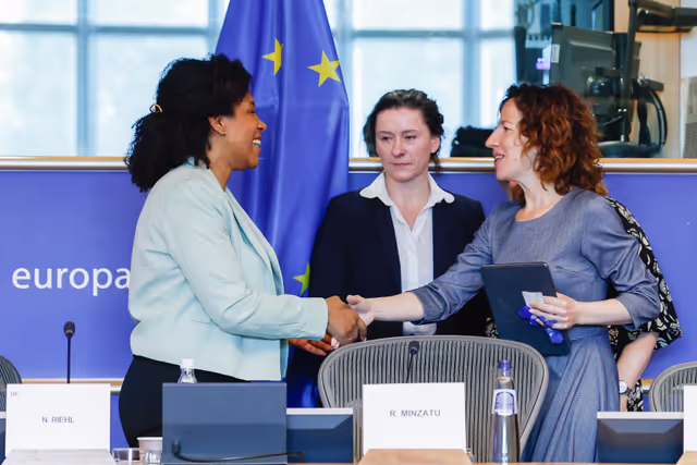 Foto 16: CULT - Structured dialogue with Executive Vice-President Roxana Mînzatu