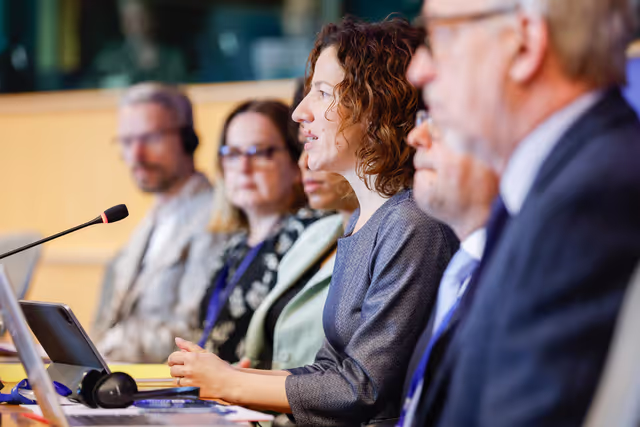 Foto 5: CULT - Structured dialogue with Executive Vice-President Roxana Mînzatu