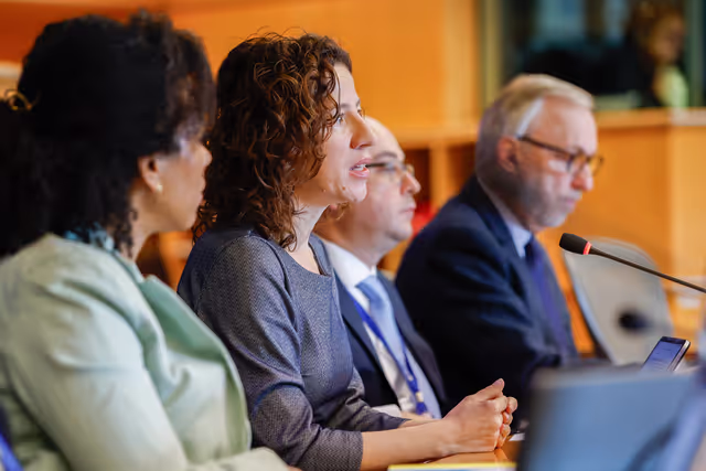 Foto 6: CULT - Structured dialogue with Executive Vice-President Roxana Mînzatu