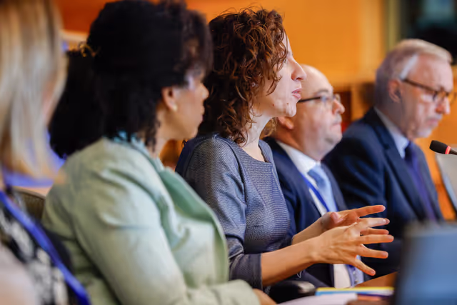 Foto 4: CULT - Structured dialogue with Executive Vice-President Roxana Mînzatu