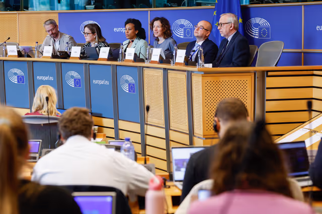 CULT - Structured dialogue with Executive Vice-President Roxana Mînzatu